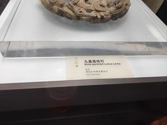 -烟台市博物馆