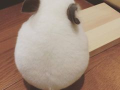 -蓟县盘山滑雪场