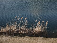 -无锡新湖铂尔曼大酒店