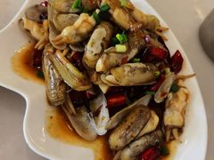 蛏子-华盛丰温州大排档(东三环南路店)