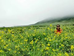 -扁都口生态休闲旅游区