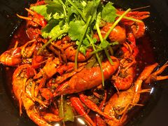 -红辣椒·川菜·火锅(张杨路店)