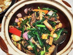 -大鸽饭(动物园店)