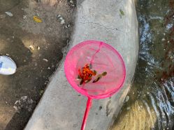 -塔元庄景区