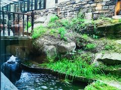 -Local泰莲庭(虹鳟鱼店)