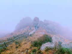 -白草畔自然风景区