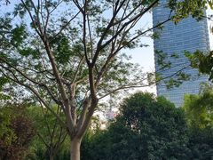 -国泰海通证券(上海新建路营业部)