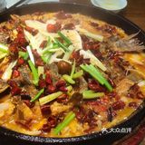 吃老板恋上鱼是不是有瘾？