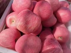 -江杨农产品批发市场