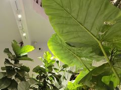 -漫笙舍Manse·咖啡·民宿