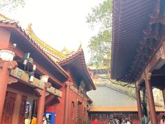 -深圳仙湖植物园