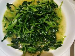 -金春禧(英雄山路旗舰店)