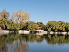 -百脉泉景区