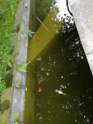 点击看大图 -莲生母婴月子中心(清水河公园店)