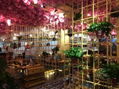 -椰贝原味椰子鸡(玉林万达店)