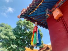 -大召无量寺