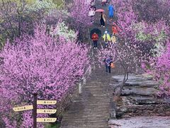 -天台山赤城山景区