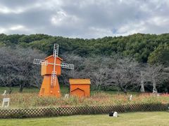 -苏州上方山国家森林公园
