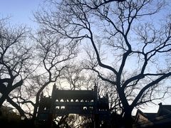 -北京国子监胡同
