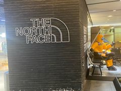 -THE NORTH FACE(三里屯ONEBOX店)