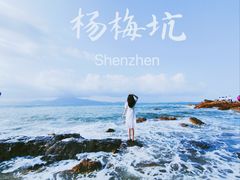 -杨梅坑
