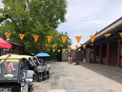 -大槐树寻根祭祖园