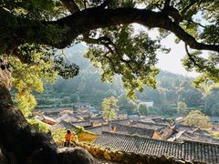 -杨家堂村