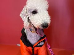 -第三空间·趣味桌游·轰趴.室内CS.剧本杀(大武汉1911店)