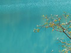 -九寨沟-树正沟