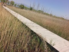 -野鸭湖国家湿地公园