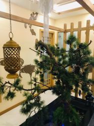 -芳朵美容养生SPA