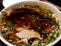 -杨肥肠小火锅(新桥店)