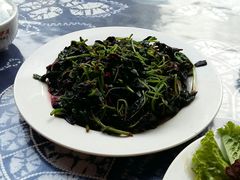 -翕庐小苑