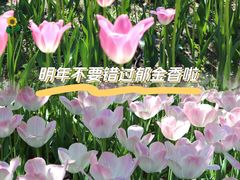 -朝阳公园