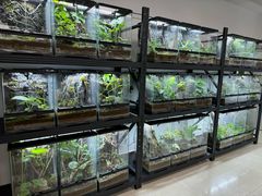 -中国科学院西双版纳热带植物园