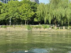 -运河游船(武林门码头)