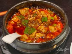 -陈麻婆豆腐总店