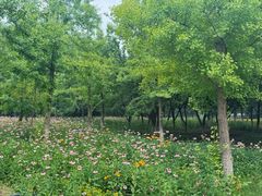 -绿堤公园