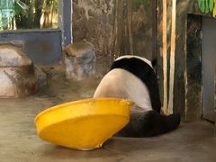 -海南热带野生动植物园