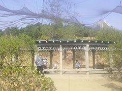 -森林公园(尖草坪区)