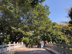 -荔湾湖公园