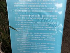 -金陵图书馆