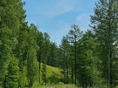 -莫尔道嘎国家森林公园