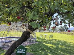 -潭柘厚院&山顶烤肉(潭柘寺店)