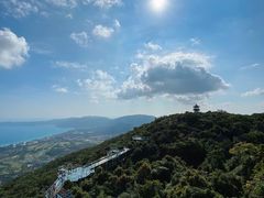 -三亚亚龙湾人间天堂鸟巢度假村