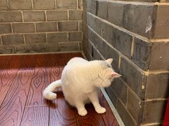 -张记牛肉面馆(天津路店)