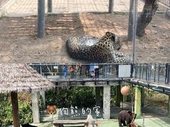 -深圳野生动物园