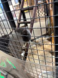 -酷嗒动物文化乐园(cutezoo西溪乐天城店)