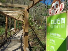 -大岭沟猕猴桃谷风景区
