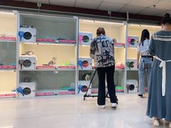 -lincat·猫舍(广州店)